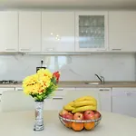 Vila Ana *